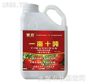 һ��ʮ��-ِ��-�_�_(d��)