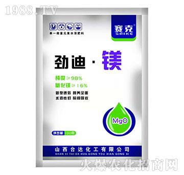 �ŵϡ��V-ِ��-�_�_