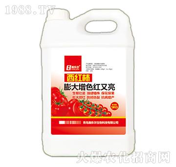 ���t�������ɫ�t����-