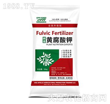 ̼���S�����-���w�r(n��ng)�I(y��)