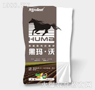 ��ֲ���ЙC����-�ڬ�����-�S(li��n)�r(n��ng)�I(y��)