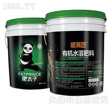 ���M�@�ЙCˮ�ܷ���-��̫��