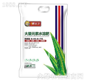 �����ʹ���Ԫ��ˮ�ܷ�8-40-8+TE-��̫��