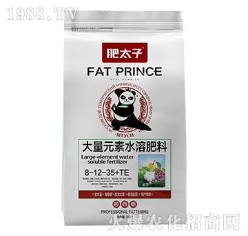 ����Ԫ��ˮ�ܷ���8-12-35+TE-��̫��