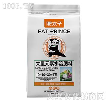 ����Ԫ��ˮ�ܷ���10-10-30+TE-��̫��