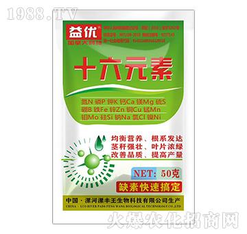 ���bʮ��Ԫ��-�惞(y��u)-���S��