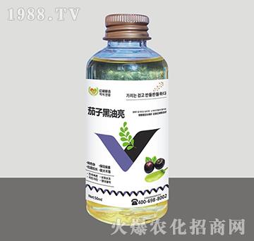 ���Ӻ�����-�R�Sֲ��