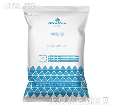 ������5-12-38+TE-ʩ����-�к̄�(d��ng)��