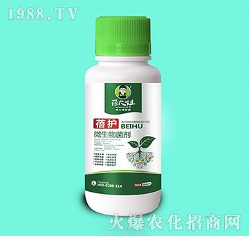 ΢�������-���o(h��)-�����