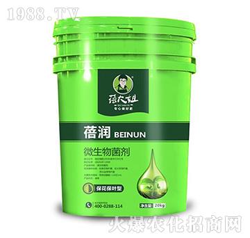 �������~��΢�������-�흙-�����