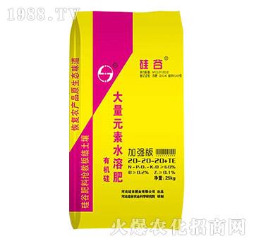 �ЙC(j��)�����Ԫ��ˮ�ܷ�20-20-20+TE-��ȷʘI(y��)