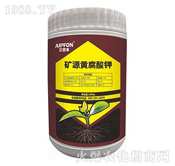 �VԴ�S�����-�����S