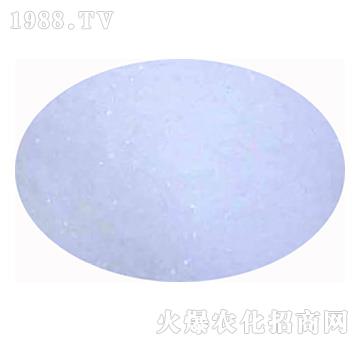 ���w�Ȼ��-����