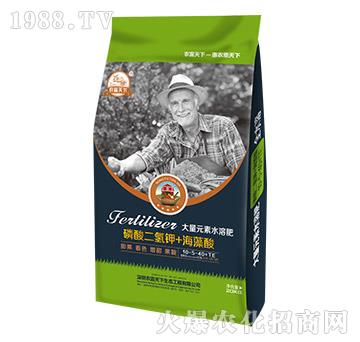 20kg����Ԫ��ˮ�ܷ�10-5-40+TE-�r(n��ng)������