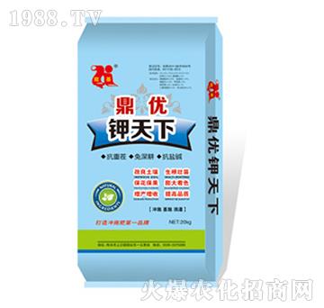 ����(y��u)�����-��������