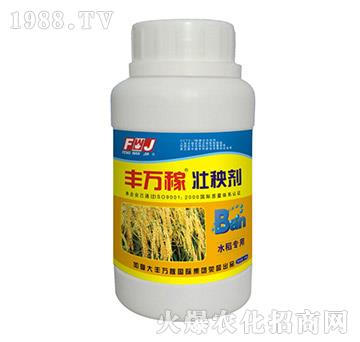 ˮ�����É��턩-�S�f��