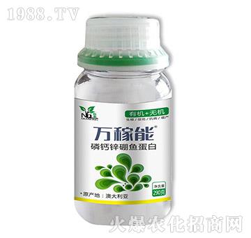 ���}�\���~(y��)����-�f(w��n)����-Ǭ�r(n��ng)