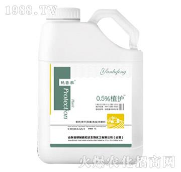 0.5%ֲ�o-�G���S-���_����