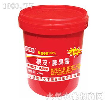 ��ï�����¶-��@���S-���S�ʘI(y��)