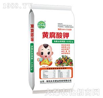 �S����⛛_ʩ��-��@��