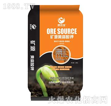 �VԴ�S�����-������-ʢ���{��