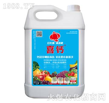 ϲ�}���أ�-��(l��)����