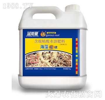 ����ֲ��ˮ�ܷ���-����������4kg��-�{(l��n)����