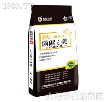 ��̼֮��-����Ƽ�