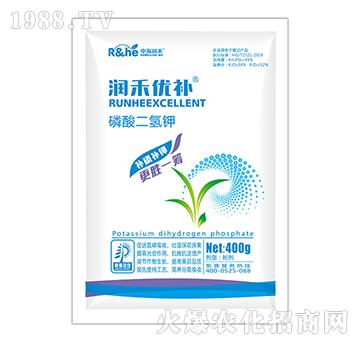 ��������-��(r��n)�̃�(y��u)�a(b��)-�к���(r��n)��