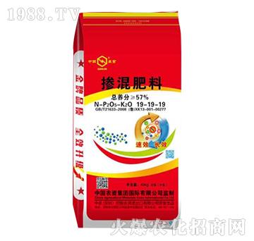 �������19-19-19-���r