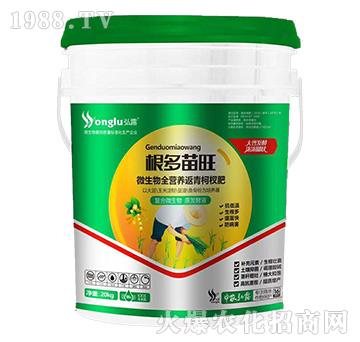 ΢����ȫ�I(y��ng)�B(y��ng)�����辷�-��������-���r(n��ng)��¶