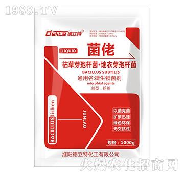 ����-������