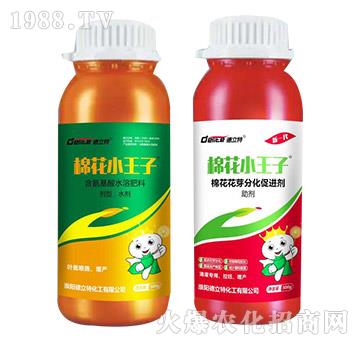 �޻�С����-������