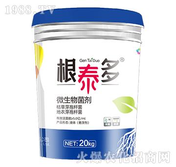 ΢�������-��̩��-��̩