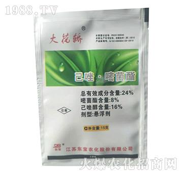 24%�����׾����Ҹ���-���I-�|��