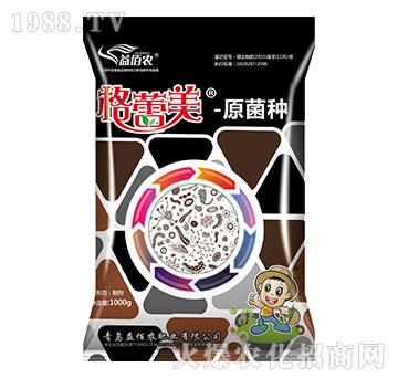 格蕾美-原菌種-益佰農(nóng)