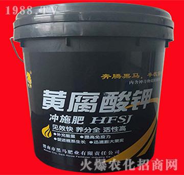 �S�����-���R�ʘI(y��)