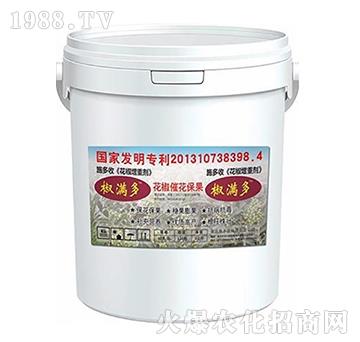 �������؄�-ʩ����