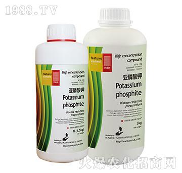 �������-�(y��ng)��G��