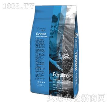 ��A�{(di��o)���}-�@��Ԫ