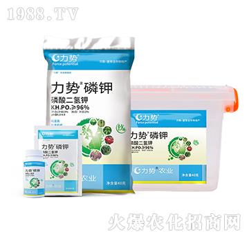 ��������-����(sh��)���-������