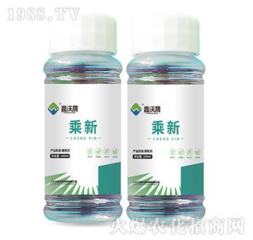 ����-������