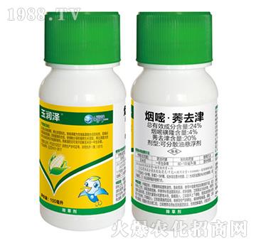 24%���ס�ݬȥ��-�񝙝�-��������