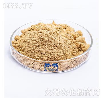 �������ĩ-���L�`