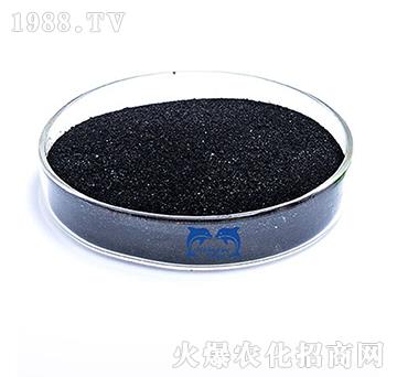 ��ֲ��-���L�`