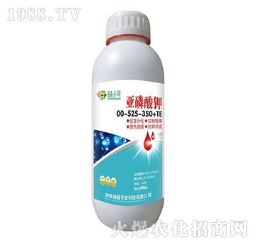 �������00-525-350+TE-��ֲ