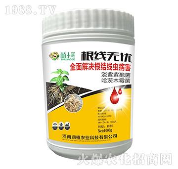 ����(xi��n)�o(w��)�n(y��u)-��(r��n)ֲ