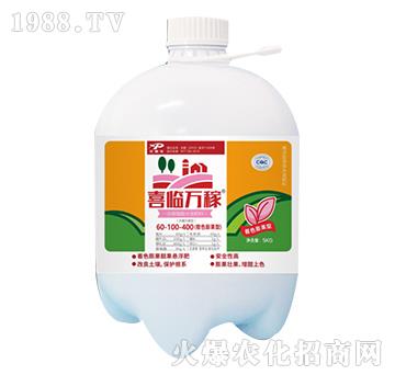 ����ֳ��ˮ�ܷ���60-100-400-ϲ�R�f��-������