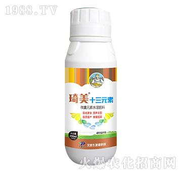 ����ʮ��Ԫ��-������