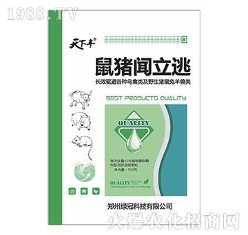 ���i����-�G��